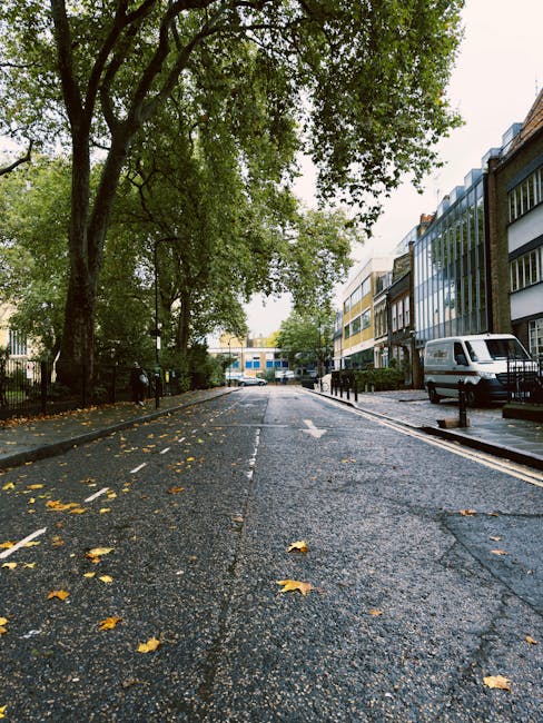View of a city street taken from a window during a house removal process, showing a curved road with black asphalt, white road markings, and portable traffic bollards on the pavement. On the left, a c